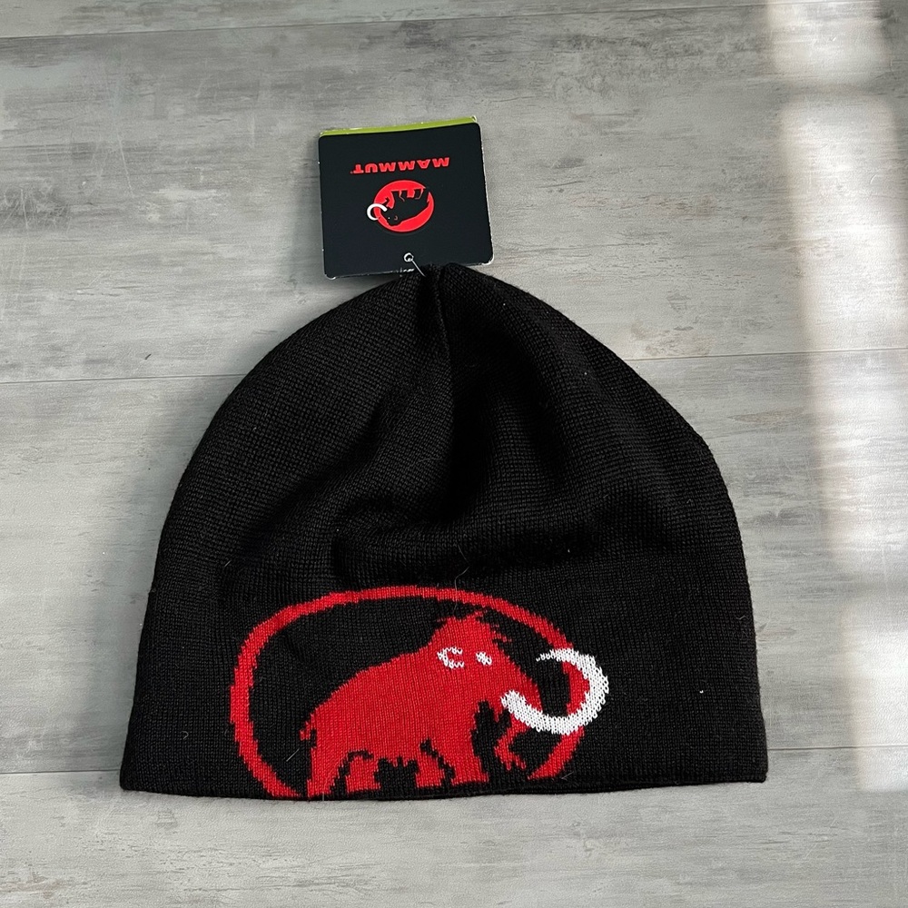 Mammut Beanie